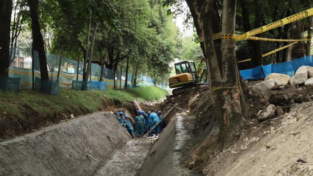 Imagen de obras de mantenimiento de árboles en el parque El Virrey.