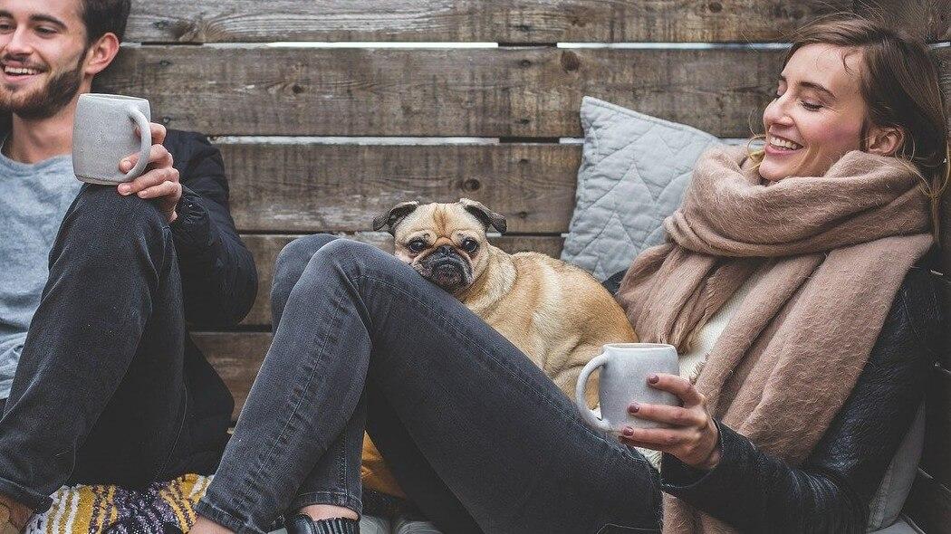 Imagen de una pareja con un animal de compañía.