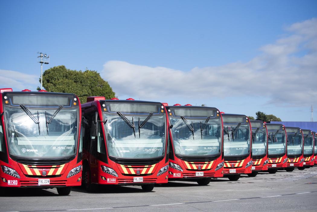 Buses de TransMilenio listos para transportar a los estudiantes de Bogotá. Foto: TransMilenio