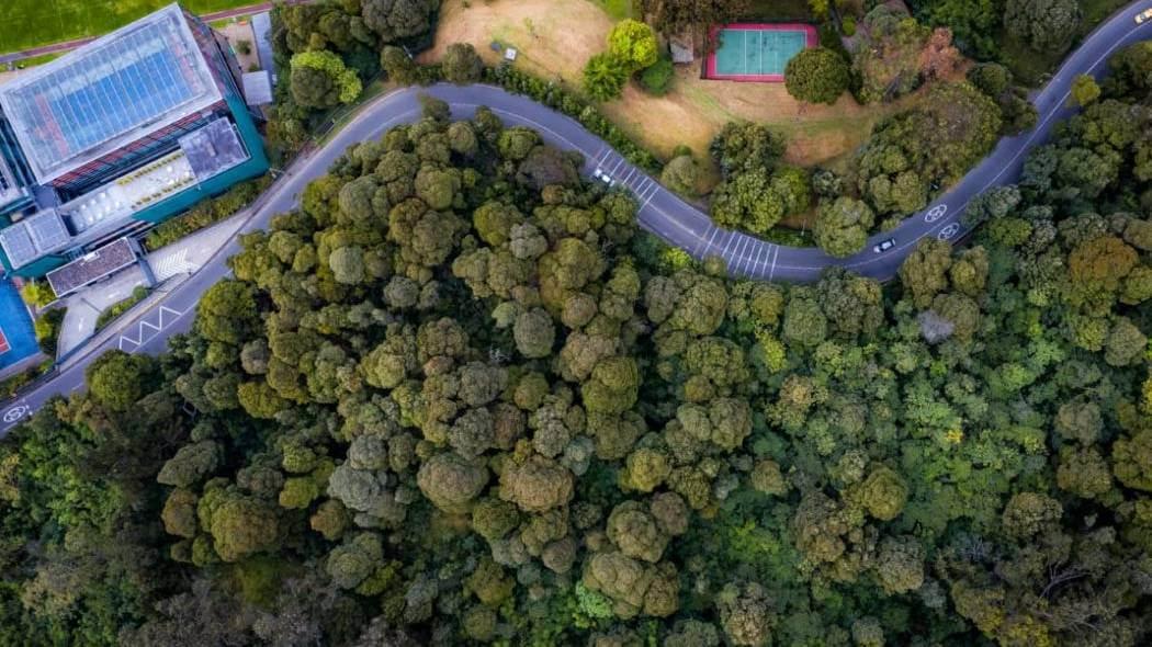 Imagen área de una zona verde de Bogotá.