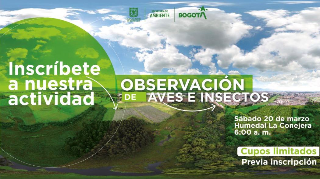 Tendrás la oportunidad de avistar el currucutú, la tingua pico verde, la monjita cabeciamarilla, el colibrí chillón o mamíferos como la zarigüeya y el curí.