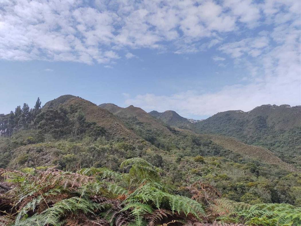 Líderes y lideresas de diferentes localidades aprenderán sobre conectividad ecológica, entre otros temas. Foto: Secretaría de Ambiente.