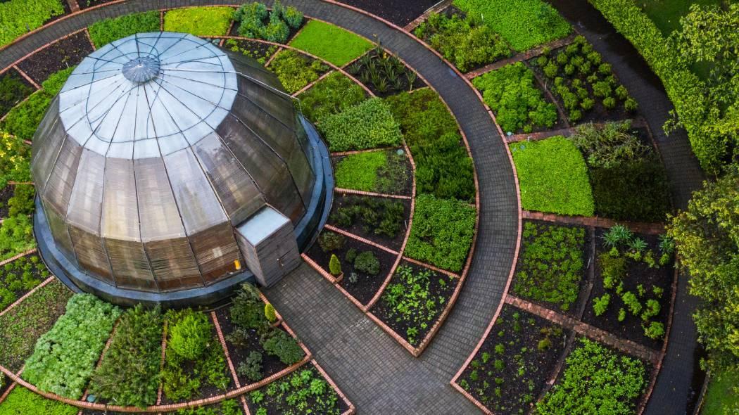 Imagen del Jardín Botánico.