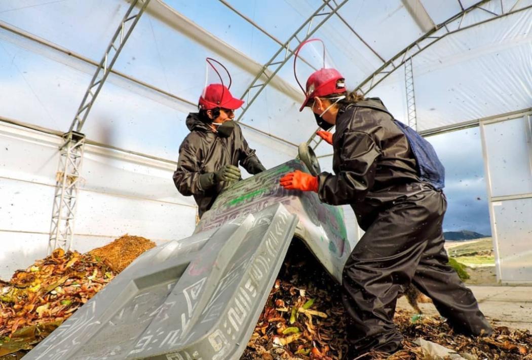 Personas en una planta de residuos orgánicos 