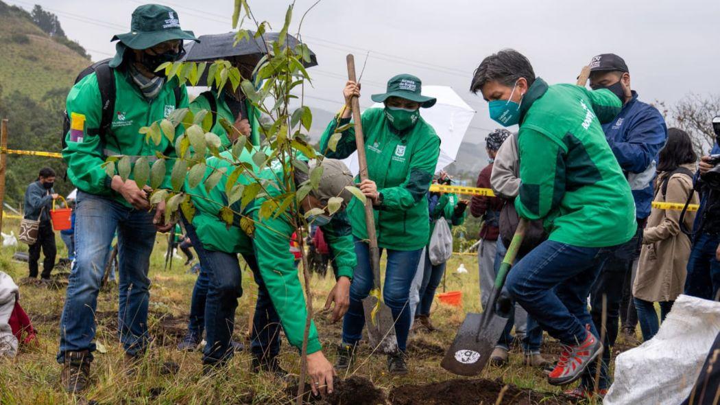 Claudia López plantando un árbol