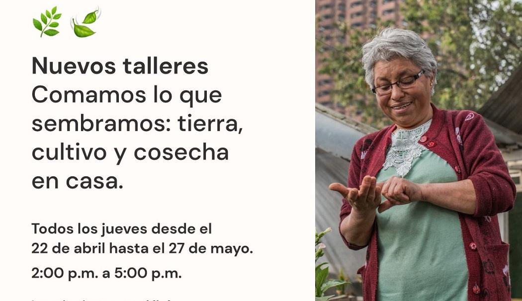 El Museo de Bogotá te invita a participar en tres talleres para producir alimentos en casa. ¡Participa!. Imagen: Museo de Bogotá.