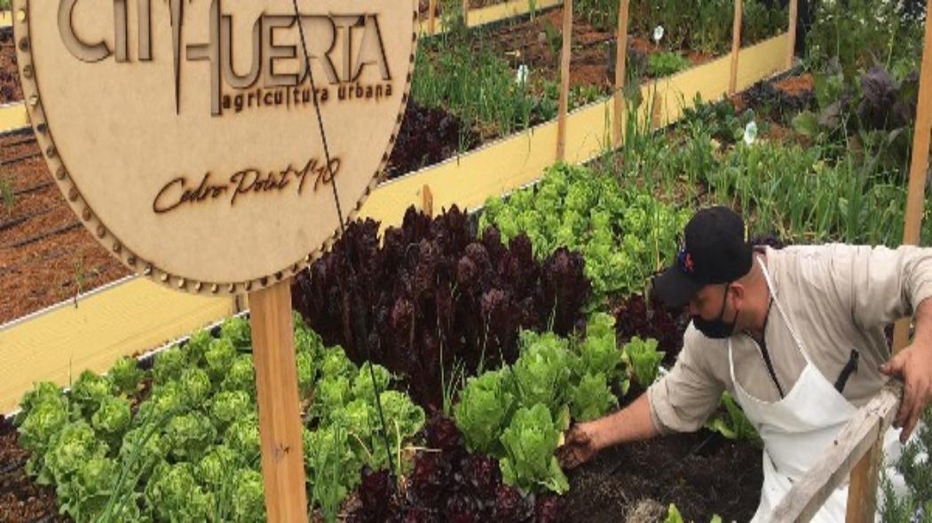 Oportunidades para agricultores de Bogotá