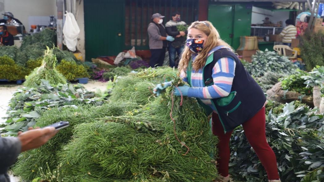 Plaza Samper Mendoza, famosa por su variedad en plantas medicinales