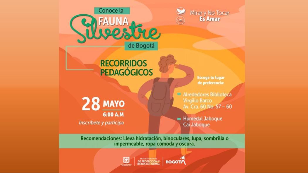 Los recorridos se llevarán a cabo este 28 de mayo de 2021 a las 6:00 a.m. Para asistir es necesario que te inscribas previamente. 