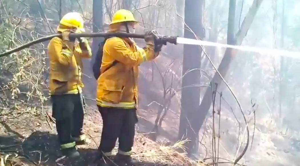 Grupo Especializado en la Gestión Integral de Riesgo contra incendios forestales. Foto: Bomberos de Bogotá