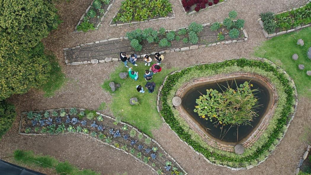 Habrá actividades académicas, lúdicas y culturales, virtuales y presenciales hasta el 4 de junio de 2021. Foto: Jardín Botánico 