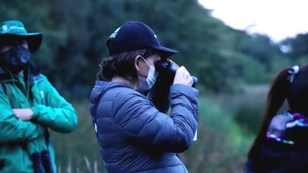 Persona observando aves.