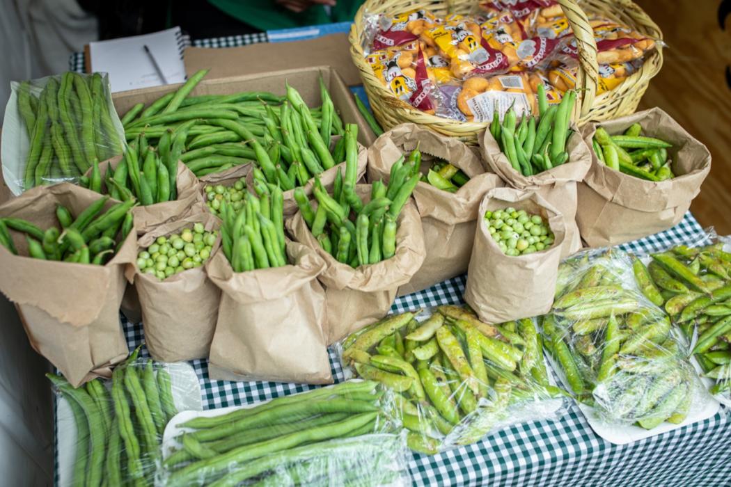 Este sábado y domingo, el Jardín Botánico, con apoyo de la Secretaría de Desarrollo Económico y el IPES, se unen para aportar a la reactivación económica de la ciudad.