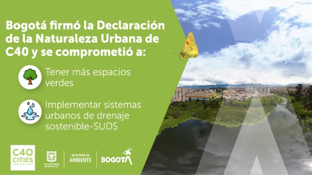 Esta declaración busca que la ciudad sea más verde en los próximos años. Pieza: Secretaría de Ambiente