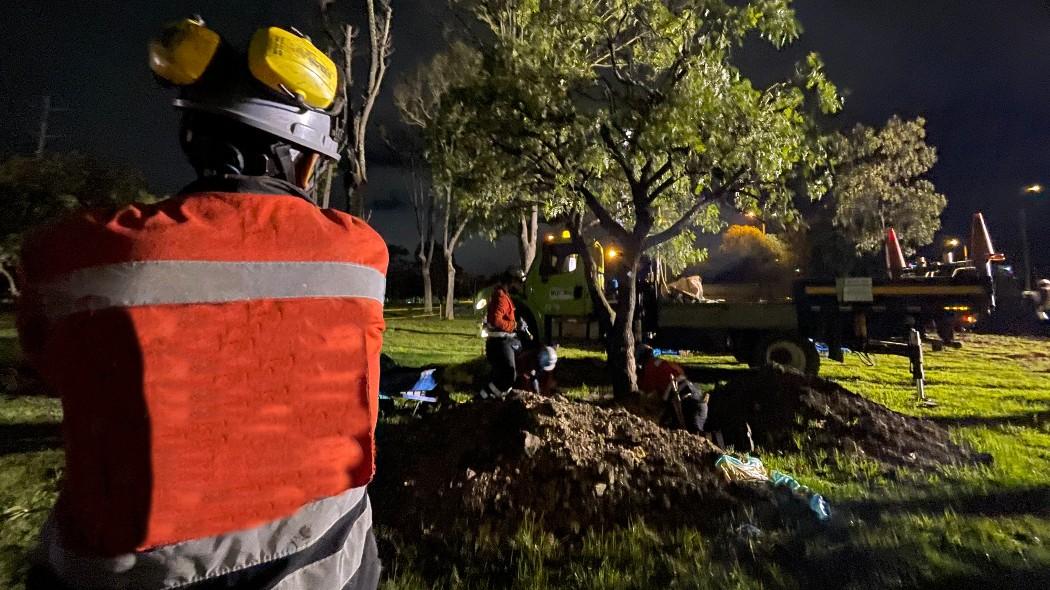 Obrero trabajando en los árboles.