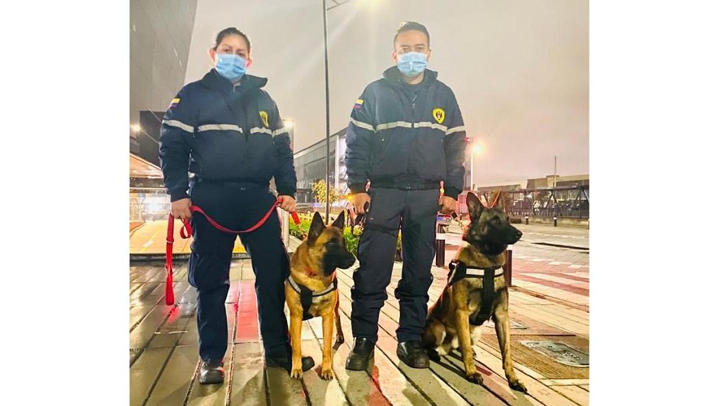 Los dos perros en camino con el grupo de los Bomberos de Bogotá hacía Haití.