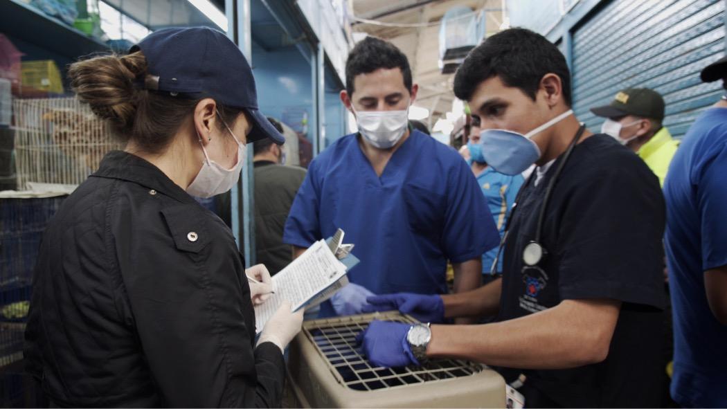 Escuadrón Anticrueldad inspeccionando plazas de mercado en Bogotá. Foto: IDPYBA