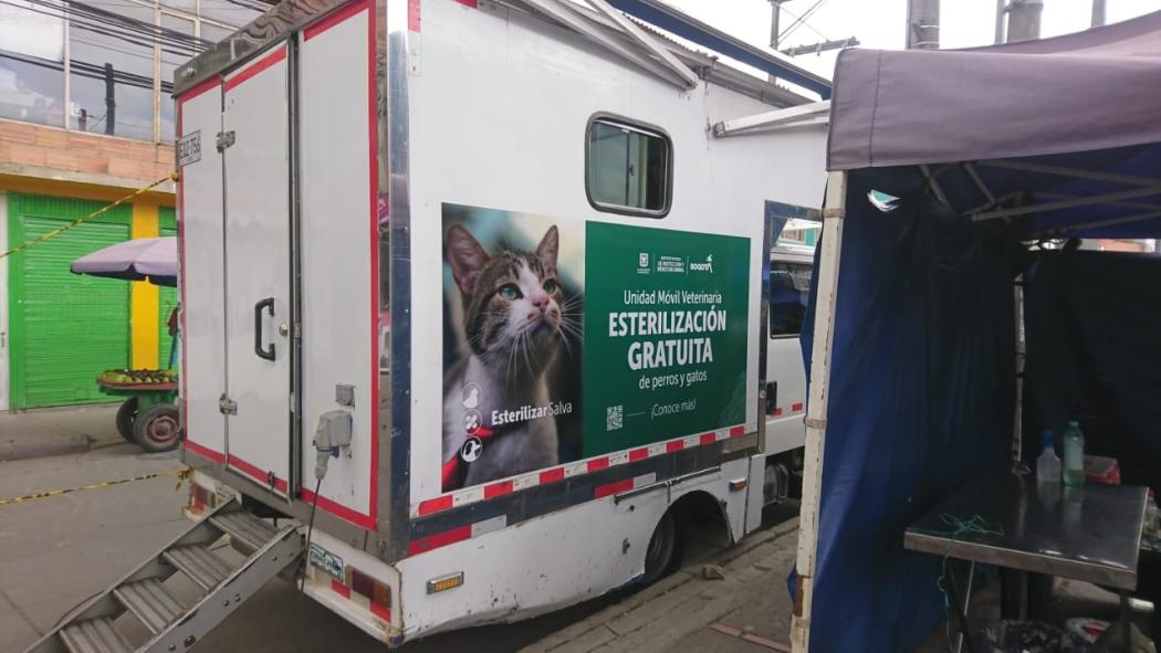 El objetivo del IDPYBA es ayudar a controlar la reproducción indiscriminada de caninos y felinos en la ciudad. Foto: IDPYBA