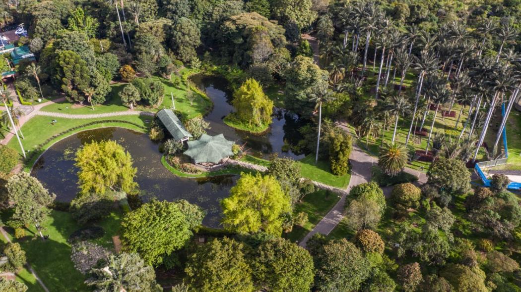 Todas las personas de todas las edades pueden hacer parte de las actividades para celebrar el cumpleaños del Jardín Botánico. Foto: Jardín Botánico.