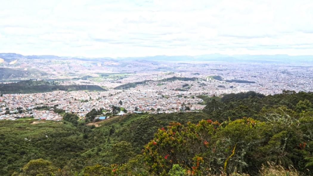 Foto de la serranía de El Zuque, a propósito de los bosques urbanos.