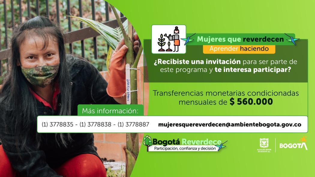 La convocatoria está abierta solo para mujeres en situación de vulnerabilidad y que cumplan con los requisitos. Pieza: Secretaría Ambiente.