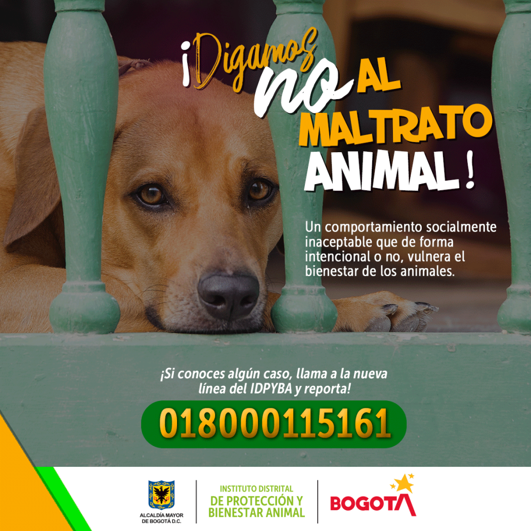 Denuncia y no te quedes callado frente al maltrato animal. Pieza: IDPYBA.