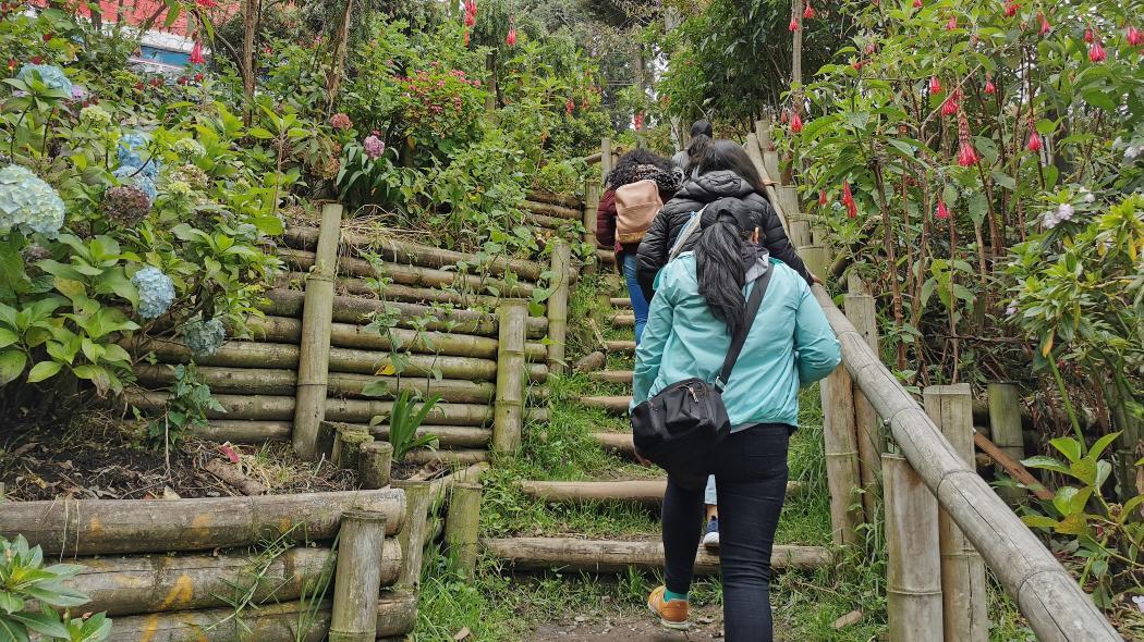 Caminata ecológica de maestras