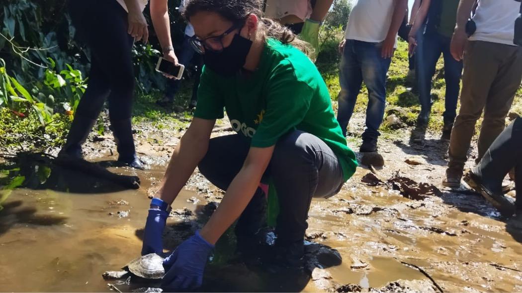 La liberación se realizó en un predio de la Policía Nacional, que tiene un área de 1.100 hectáreas. Foto: Secretaría Ambiente.