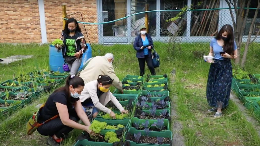 Ya son cuatro las redes de huerteros urbanos en Bogota: Tunjuelito, Los Mártires, La Candelaria y Teusaquillo. Foto: Jardín Botánico.