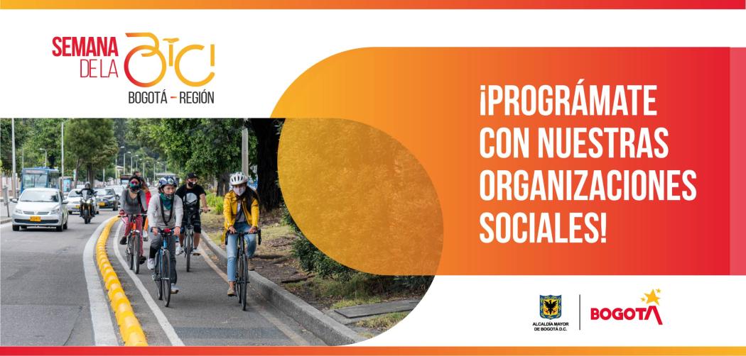 Visibilizar la importancia de la movilidad sostenible a través de los consejos locales de la bici.