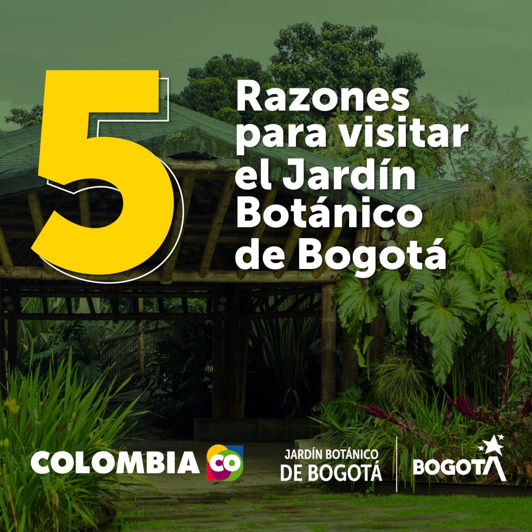 Si te gustaría ir al Jardín Botánico consulta precios de entrada y horarios en la página de la entidad www.jbb.gov.co/. Pieza: Jardín Botánico