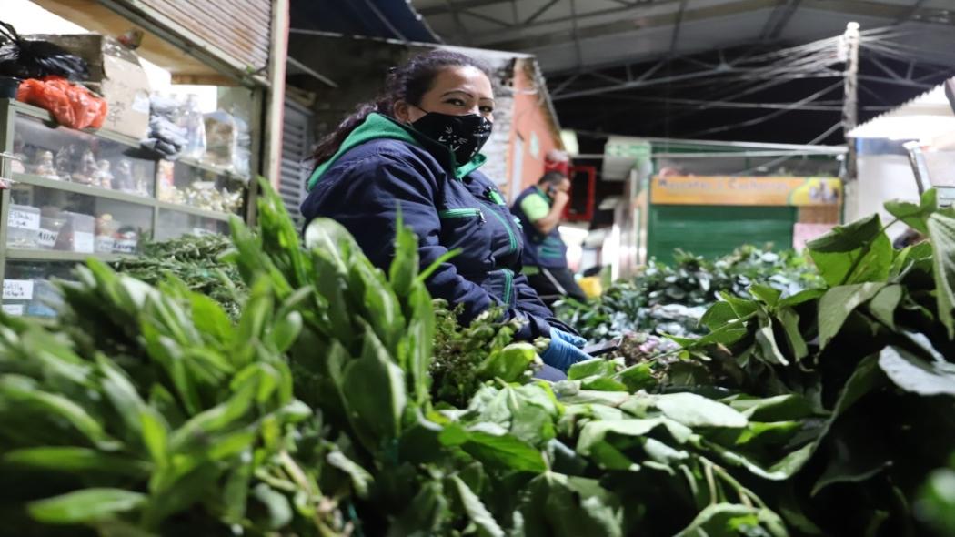 En esta plaza se han descubierto cerca de 400 especies de diferentes plantas con poderes nutricionales