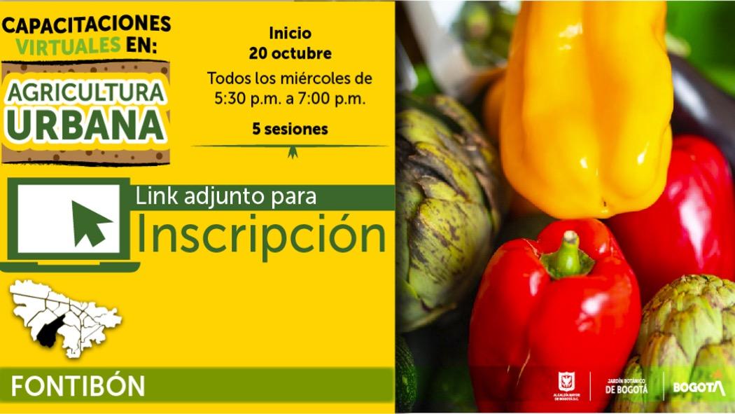 Curso de Agricultura Urbana en Fontibón