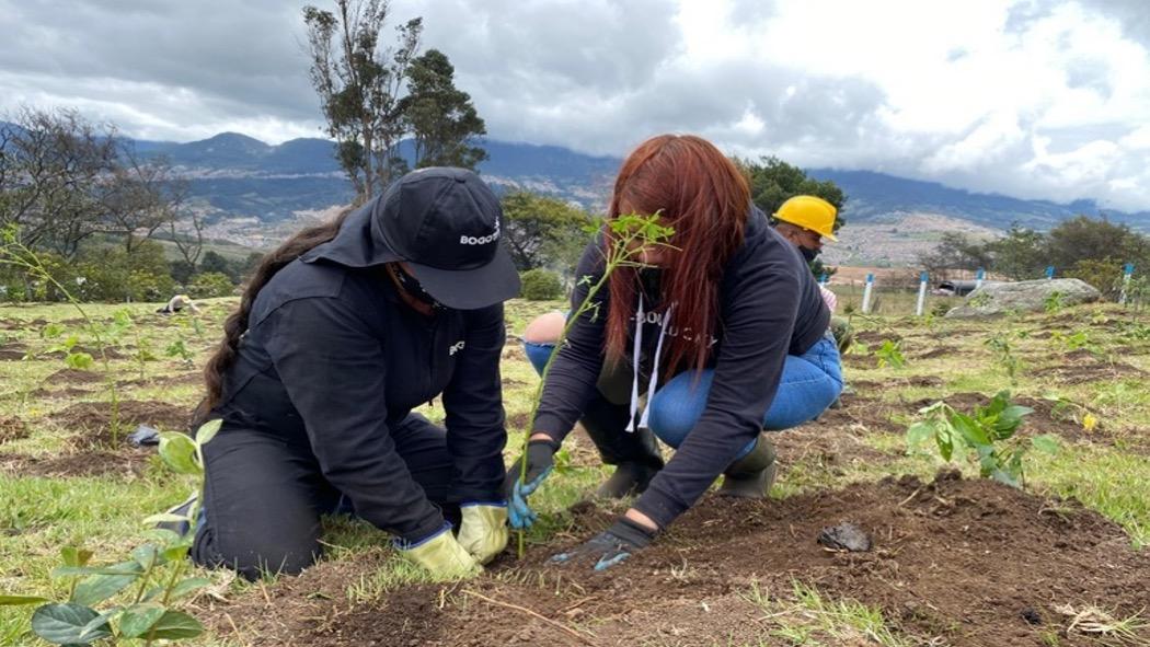 Las mujeres seleccionadas serán vinculadas durante seis meses a labores de reverdecimiento como manejo de especies invasoras, jardinería y huertas. Foto: Secretaría de Ambiente.