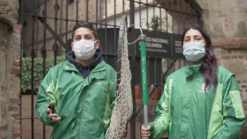 Conoce la función de Unidad CES y qué hace con los animales en condición de calle