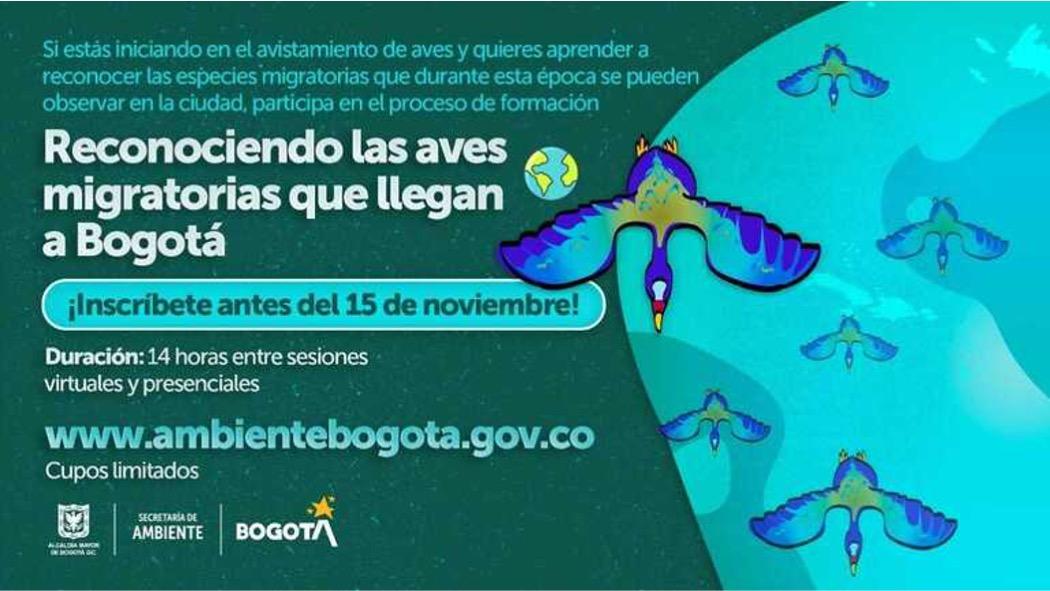 Proceso de formación sobre aves migratorias y avistamiento en Bogotá