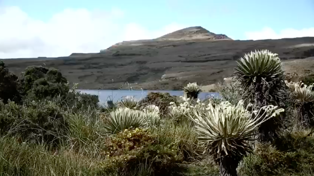 Chingaza y Sumapaz los parques naturales de Bogotá.