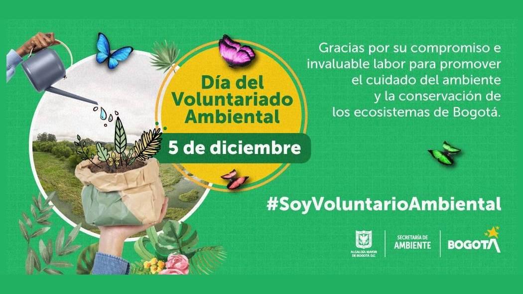 Imagen relacionada con el Día Mundial del Voluntariado 