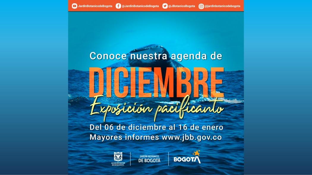 Cronograma de actividades para diciembre en el Jardín Botánico