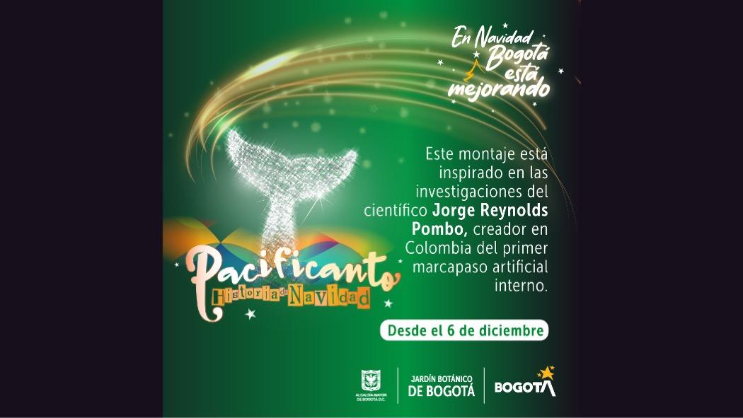 Fechas y horarios de entrada para el alumbrado del Jardín Botánico