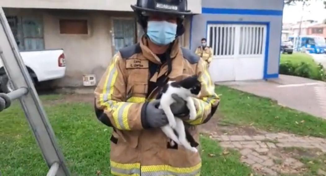 Luego del rescate, el gato fue entregado sano y salvo en la diagonal 84a con 85b, en la localidad de Engativá.