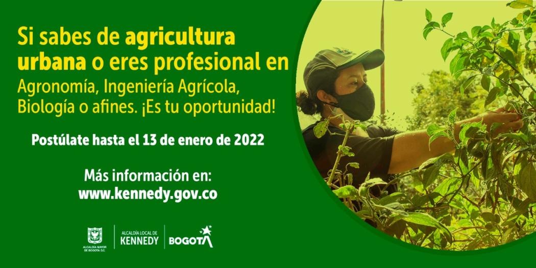 En Kennedy se busca implementar acciones de capacitación, asistencia técnica, fomento y fortalecimiento a los procesos de agricultura urbana de la localidad.