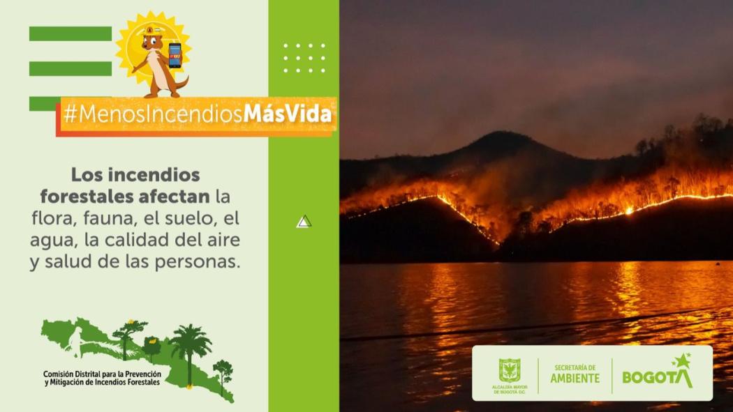 Temporada de menos lluvias: Recomendaciones para evitar incendios forestales