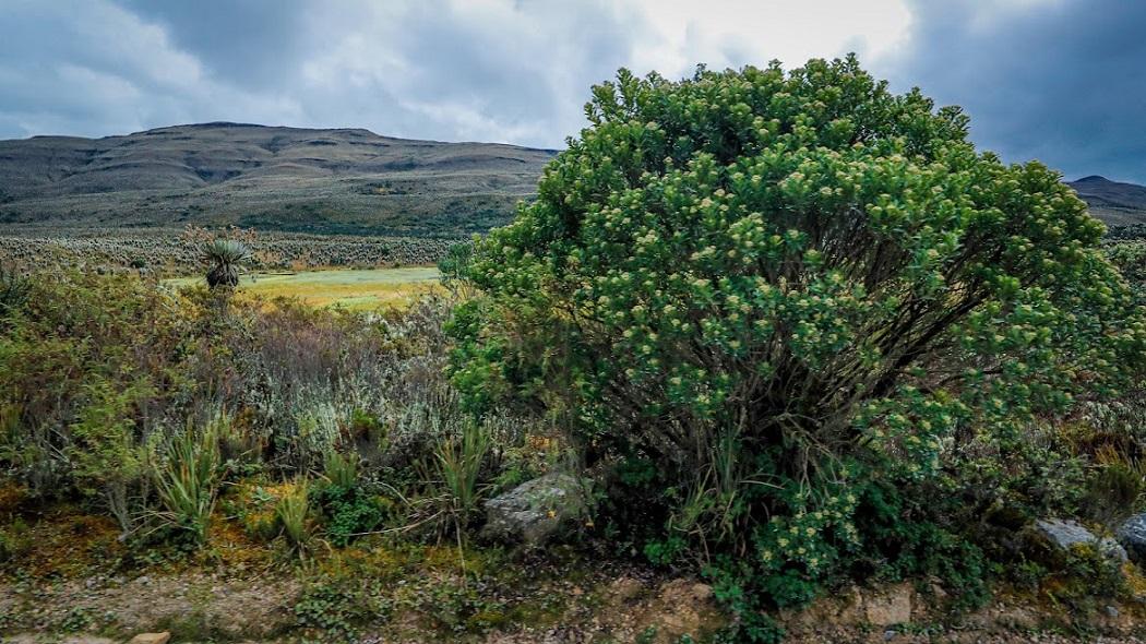 En Sumapaz sesionará el equipo directivo de la Secretaría de Salud 