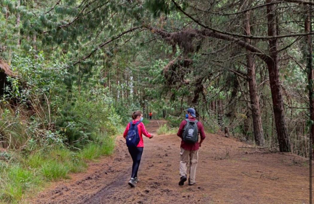 Caminos Santa Ana-La Aguadora y La Vieja abiertos este fin de semana