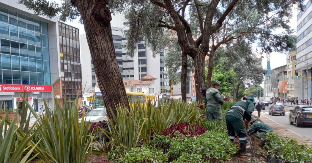 Trabajos de mantenimiento de jardines en la localidad de Chapinero