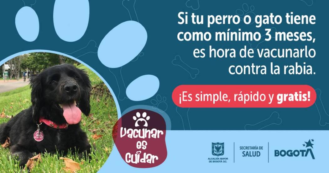 Puntos vacunación contra la rabia para perros y gatos en Fontibón 