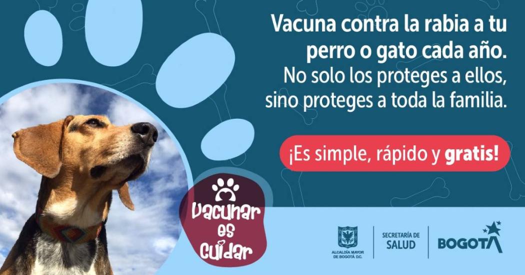 Puntos gratis de vacunación contra la rabia perros y gatos en Suba