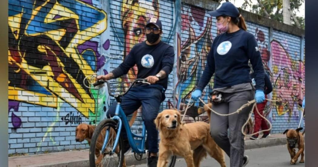 ‘Al trabajo en Bici’ con los perros del Instituto de Protección Animal