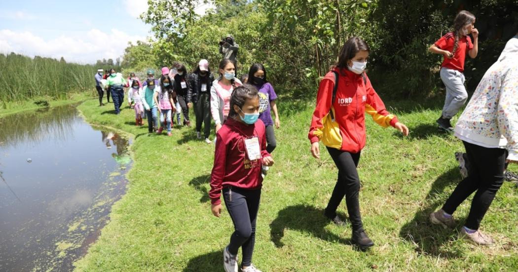 Caminatas presenciales de marzo 2022 por toda Bogotá